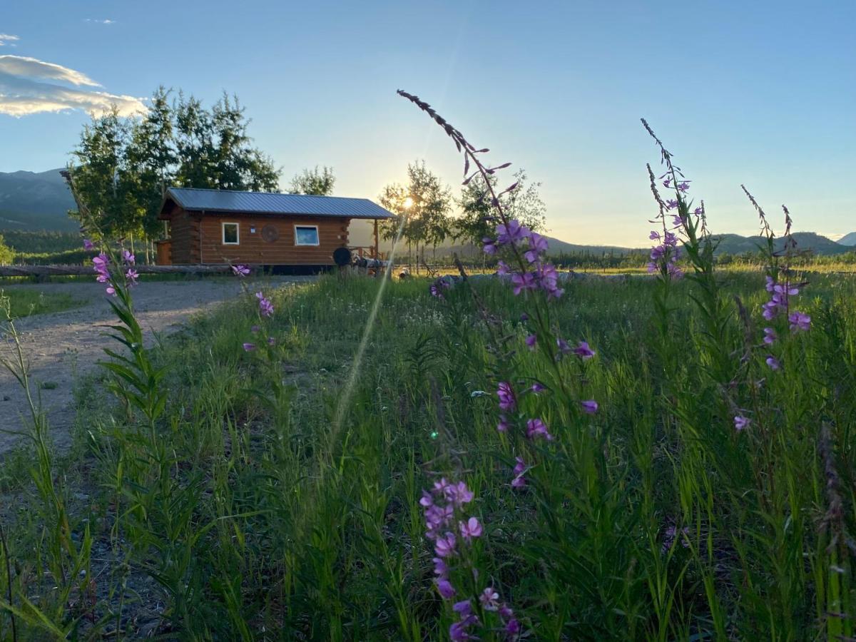 Oma'S And Opa'S Northern Lights Viewing Cabin Villa ไวท์ฮอร์ส ภายนอก รูปภาพ