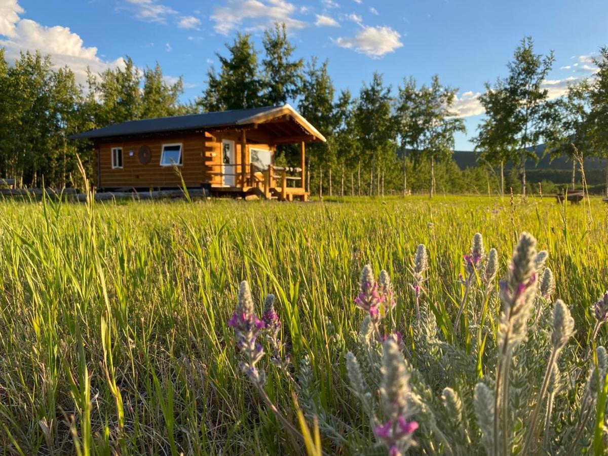 Oma'S And Opa'S Northern Lights Viewing Cabin Villa ไวท์ฮอร์ส ภายนอก รูปภาพ