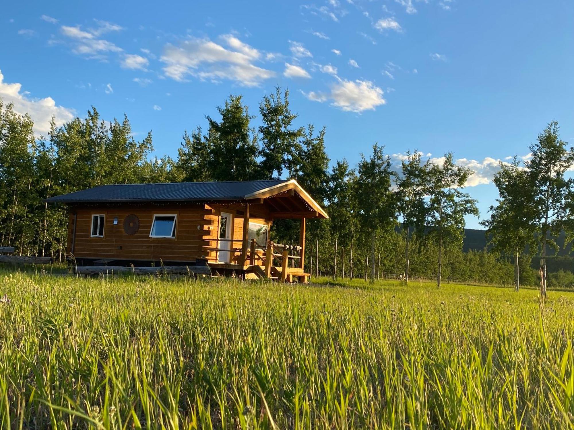 Oma'S And Opa'S Northern Lights Viewing Cabin Villa ไวท์ฮอร์ส ภายนอก รูปภาพ